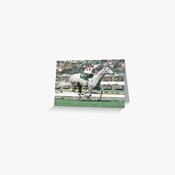 Champion Australian racehorse Schillaci. Greeting Card