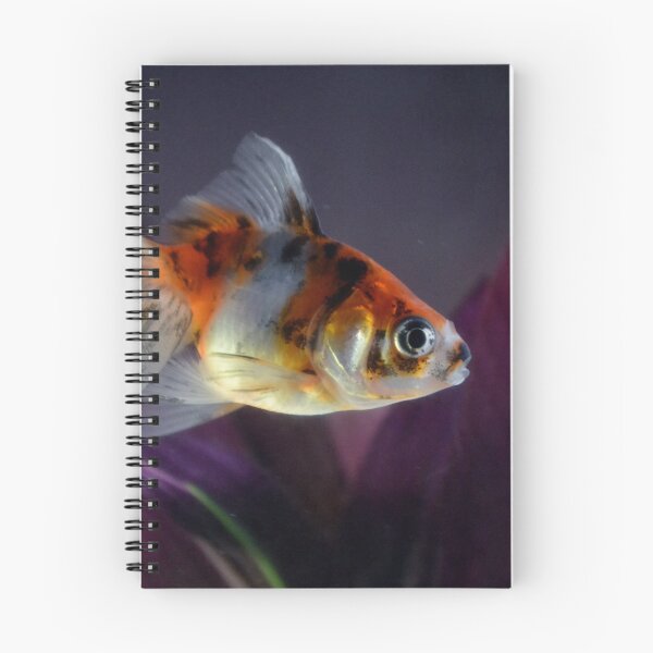 Item preview, Fish designed and sold by Zoe Wandin.