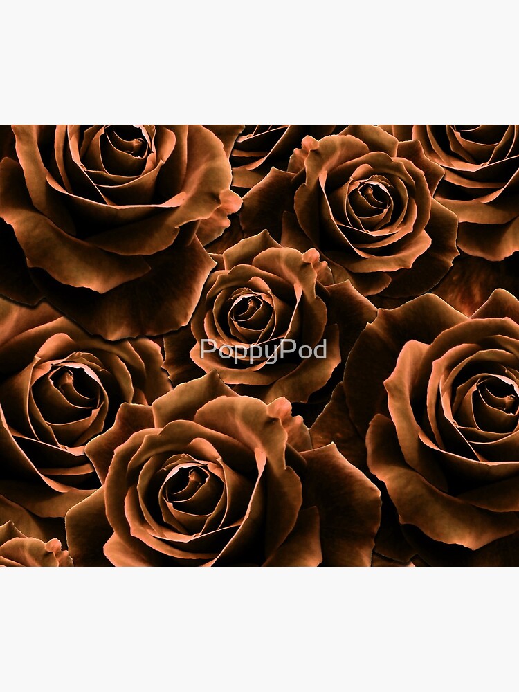Velvet Roses Chocolate by PoppyPod