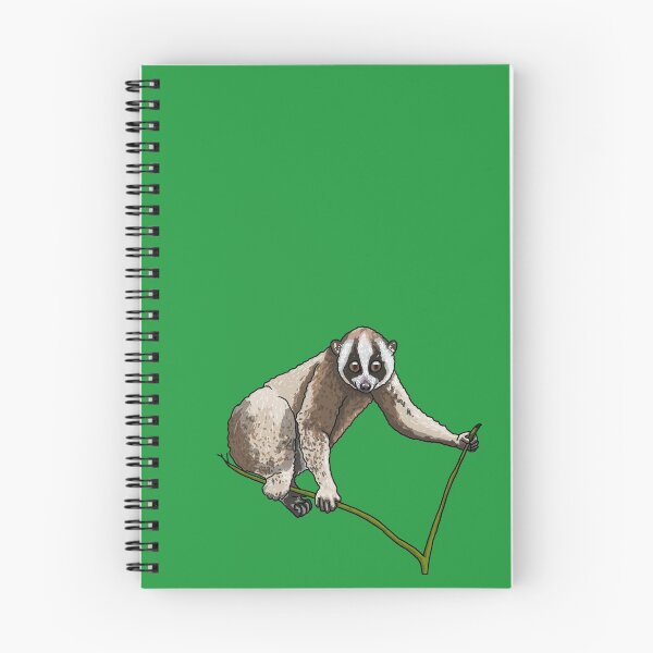 Aperçu de l'œuvre Loris lent de Java (Nycticebus javanicus). créée et vendue par Pongidae.