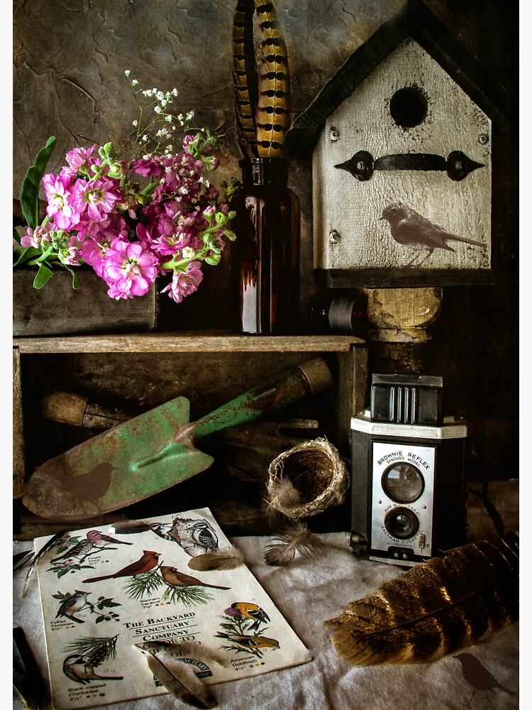 Birdhouse by CindiR60