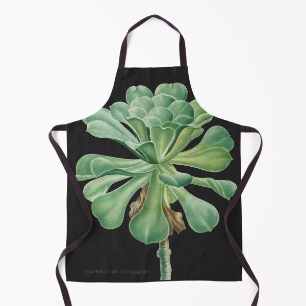 Item preview, Sempervivum Canarie Islands, Pierre-Joseph Redouté designed and sold by domdjs4239.