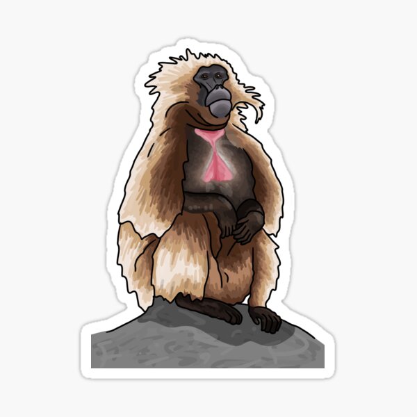 Item preview, Gelada monkey (Theropithecus gelada). designed and sold by Pongidae.