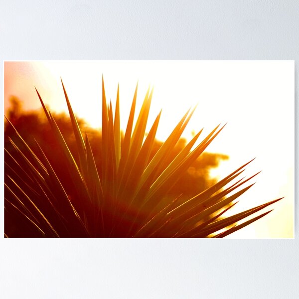 Item preview, Sunset spikes designed and sold by Zoe Wandin.