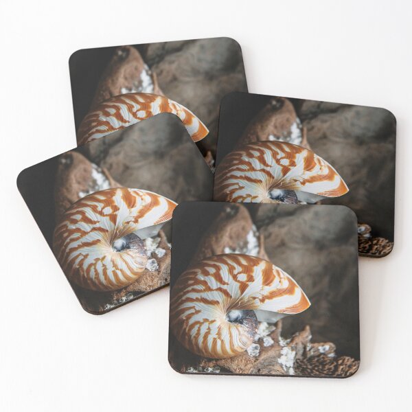 Item preview, Chambered Nautilus designed and sold by Cindi Ressler.