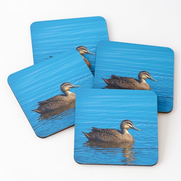 Item preview, Duck on the Water designed and sold by TVD-Photography.