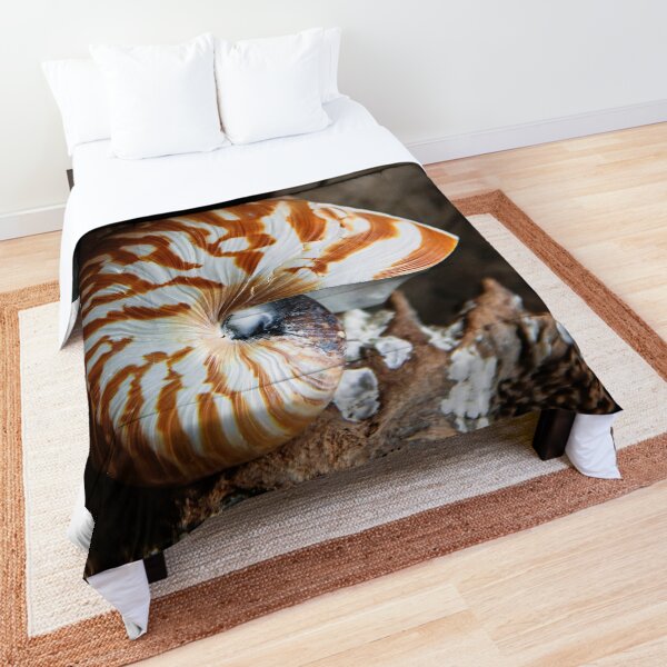 Chambered Nautilus Comforter