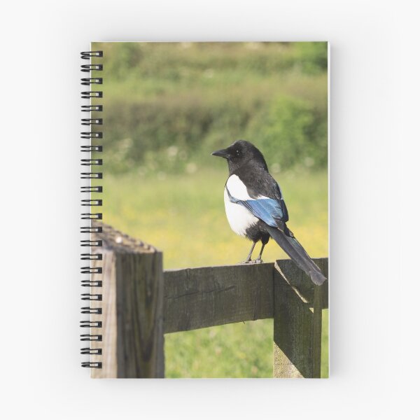 Item preview, Magpie designed and sold by Robert Carr.