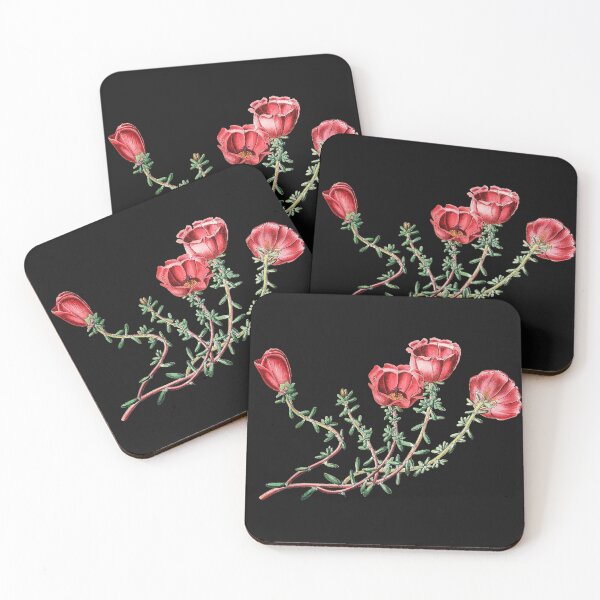 Item preview, Purslane, edible weed. designed and sold by domdjs4239.