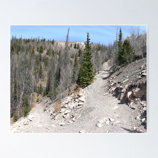 Item preview, Hiking trails designed and sold by zumi.