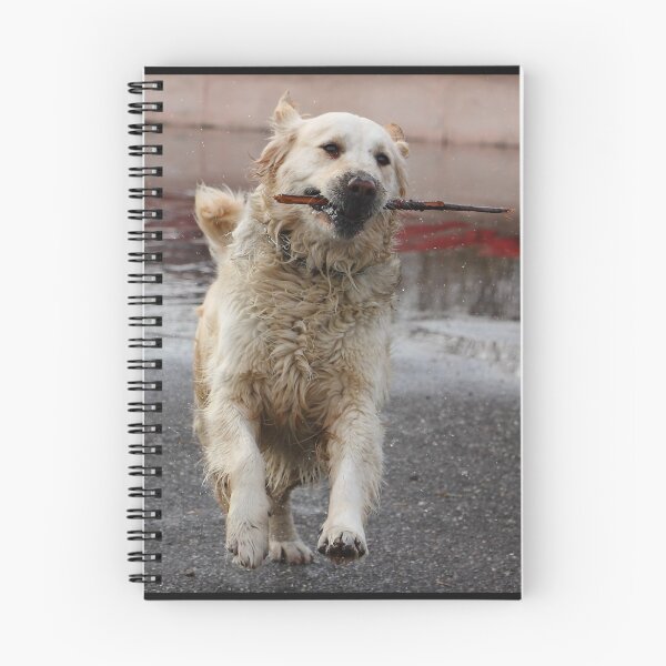 Item preview, Fetch! designed and sold by Alex Boros.
