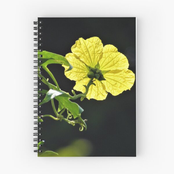 Item preview, Yellow Flower in Samandağ designed and sold by tomeoftrovius.