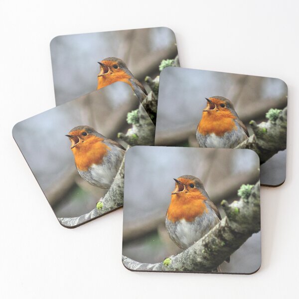 Item preview, Robin singing loudly designed and sold by rosiephotos.