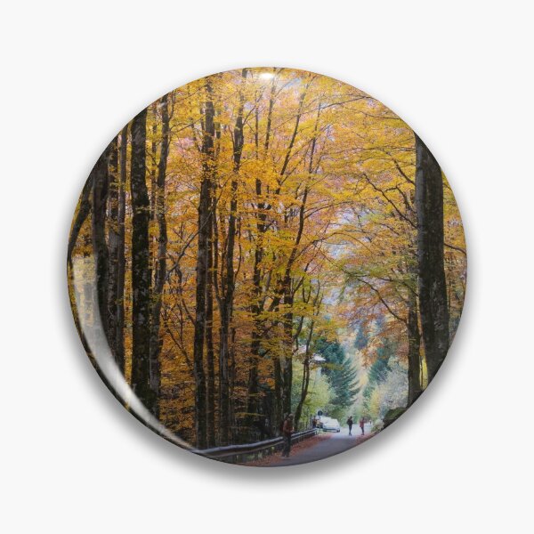 Artikelvorschau, Herbstwald entworfen und verkauft von pietrofoto.