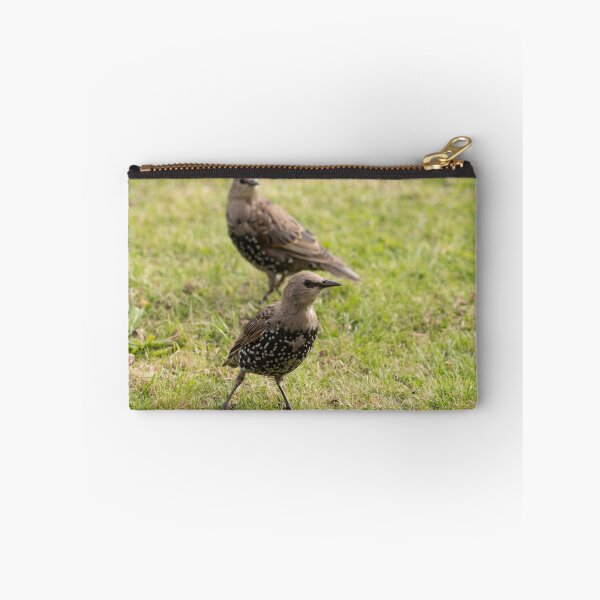 Item preview, Starlings designed and sold by Robert Carr.