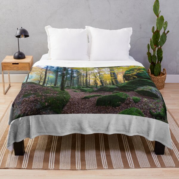 Item preview, The forest of Val Masino in autumn designed and sold by pietrofoto.
