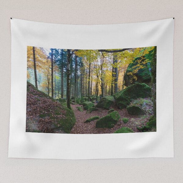 Item preview, The forest of Val Masino in autumn designed and sold by pietrofoto.
