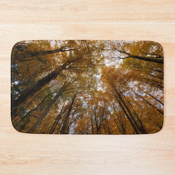 Item preview, Autumn trees from the bottom designed and sold by pietrofoto.