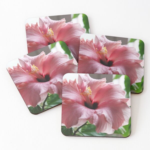 Item preview, Pink hibiscus designed and sold by gabmenfer.