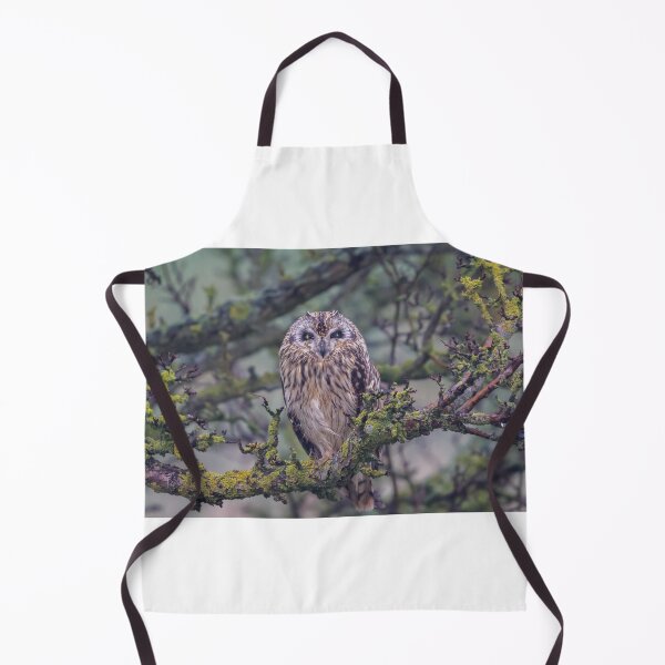 Item preview, Short Eared Owl designed and sold by Altitude Drone Media.