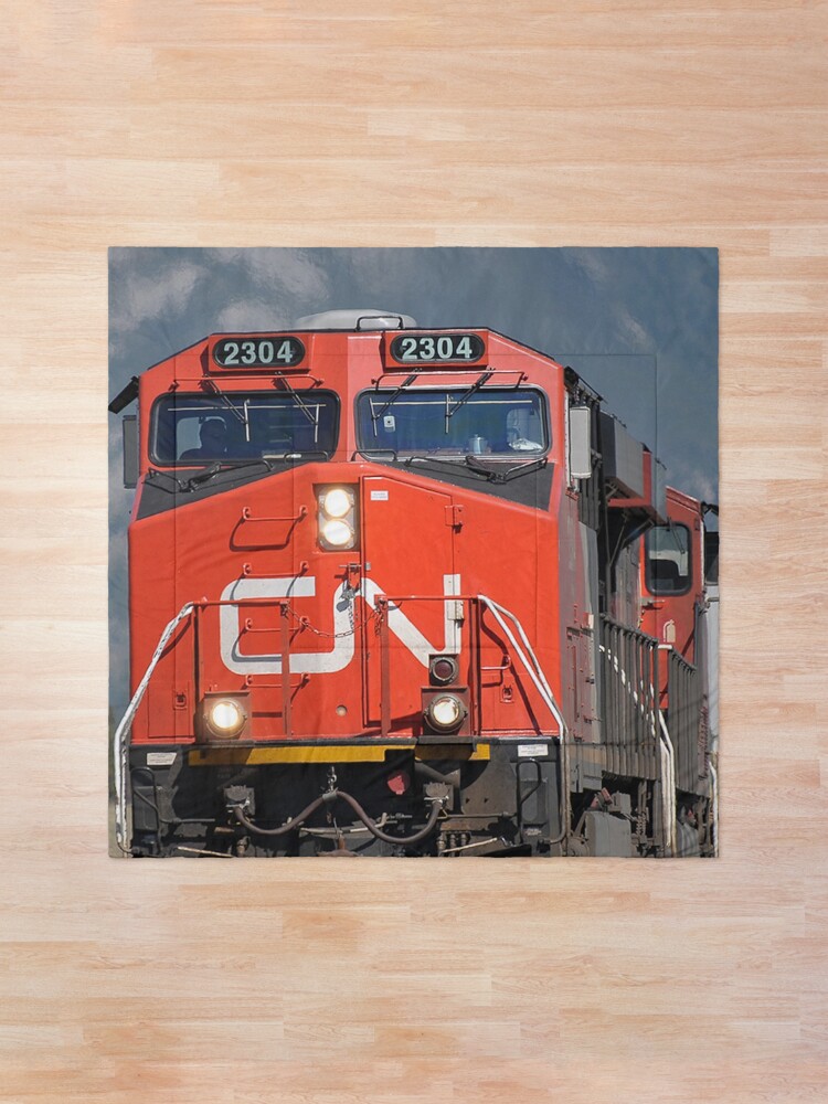 Alternate view of CN Loco Comforter