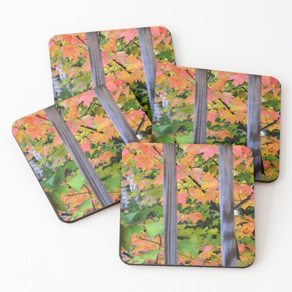 Item preview, Autumn in New Hampshire designed and sold by morgoldenberg.