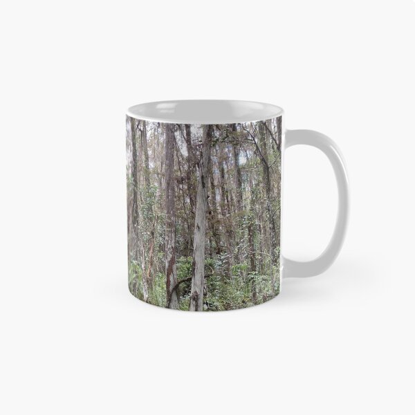 Item preview, Beautiful Forestry Photo of Florida Wetlands Cypress  designed and sold by JDMHoney.