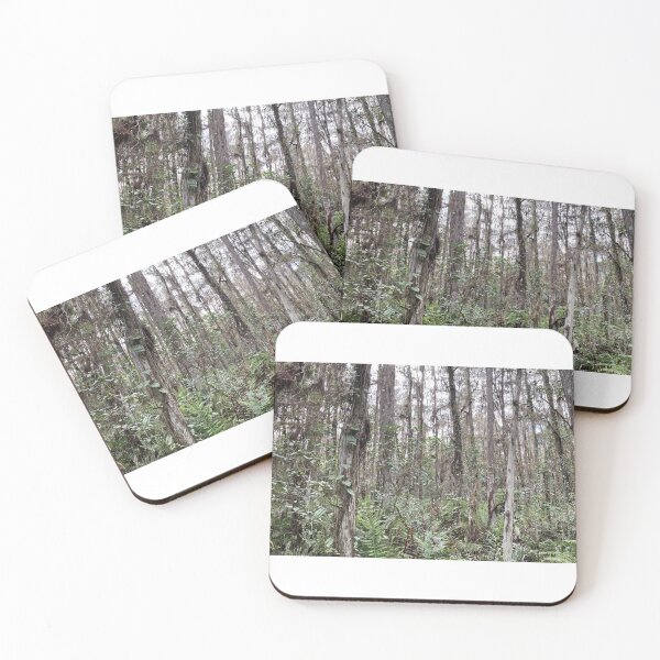 Item preview, Beautiful Forestry Photo of Florida Wetlands Cypress  designed and sold by JDMHoney.