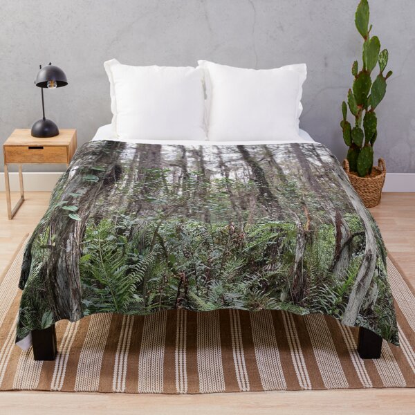 Item preview, Beautiful Forestry Photo of Florida Wetlands Cypress  designed and sold by JDMHoney.