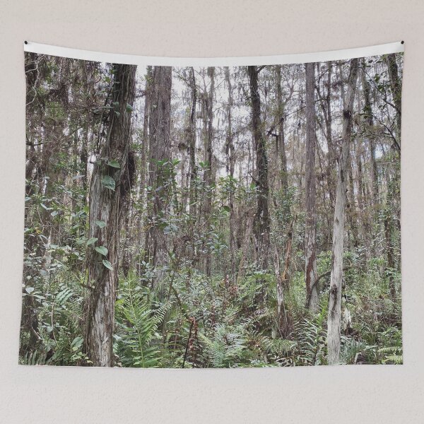 Item preview, Beautiful Forestry Photo of Florida Wetlands Cypress  designed and sold by JDMHoney.