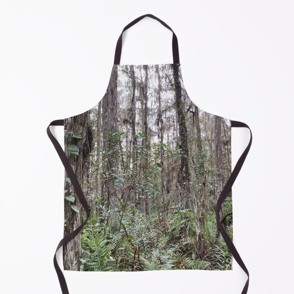 Item preview, Beautiful Forestry Photo of Florida Wetlands Cypress designed and sold by JDMHoney.