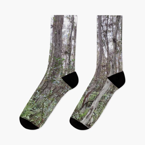 Item preview, Beautiful Forestry Photo of Florida Wetlands Cypress  designed and sold by JDMHoney.
