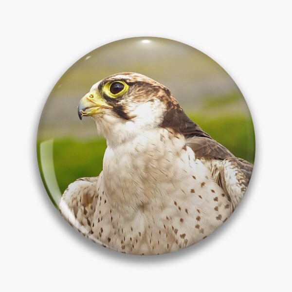 Item preview, Bird of Prey designed and sold by CathalDevlin.