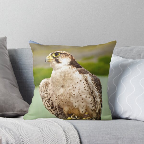 Item preview, Bird of Prey designed and sold by CathalDevlin.