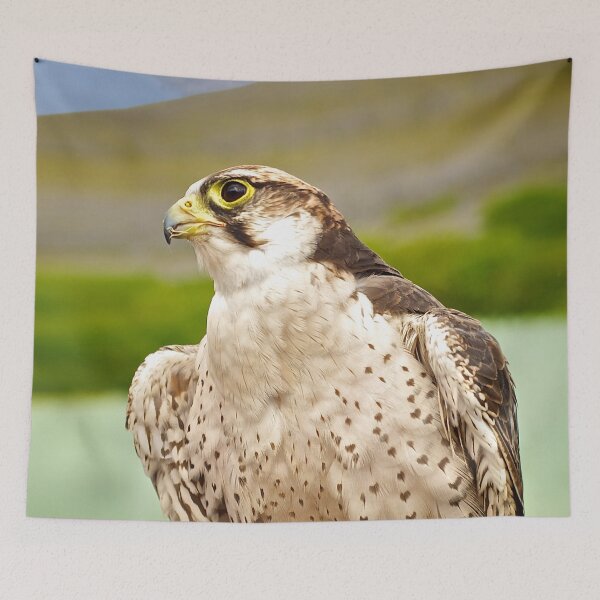 Item preview, Bird of Prey designed and sold by CathalDevlin.