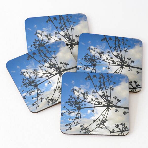 Item preview, Vibrant Blue Sky Backdrop with Shadowed Budding Plant designed and sold by StayCuztom.