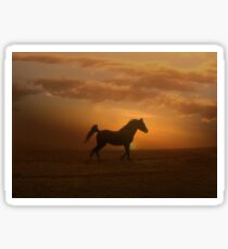Arabian Horse and Sunset Sticker