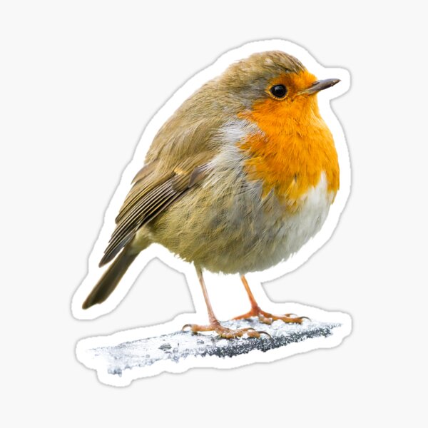 Item preview, Robin in Winter designed and sold by JStanley19.