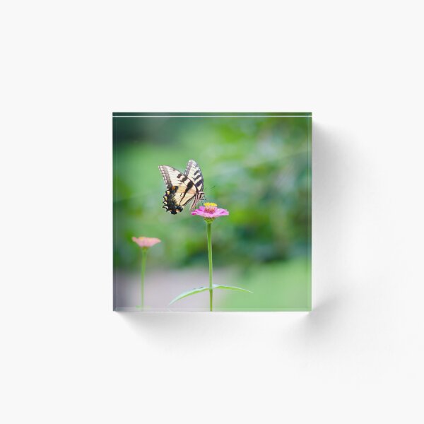 Artikelvorschau, Gelber Schmetterling auf einer rosa Blume entworfen und verkauft von KaraleeLS.