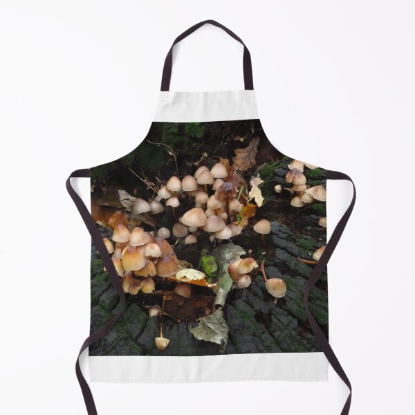 Item preview, Common Bonnet ( Mycena Galenculata ) designed and sold by wiggyofipswich.