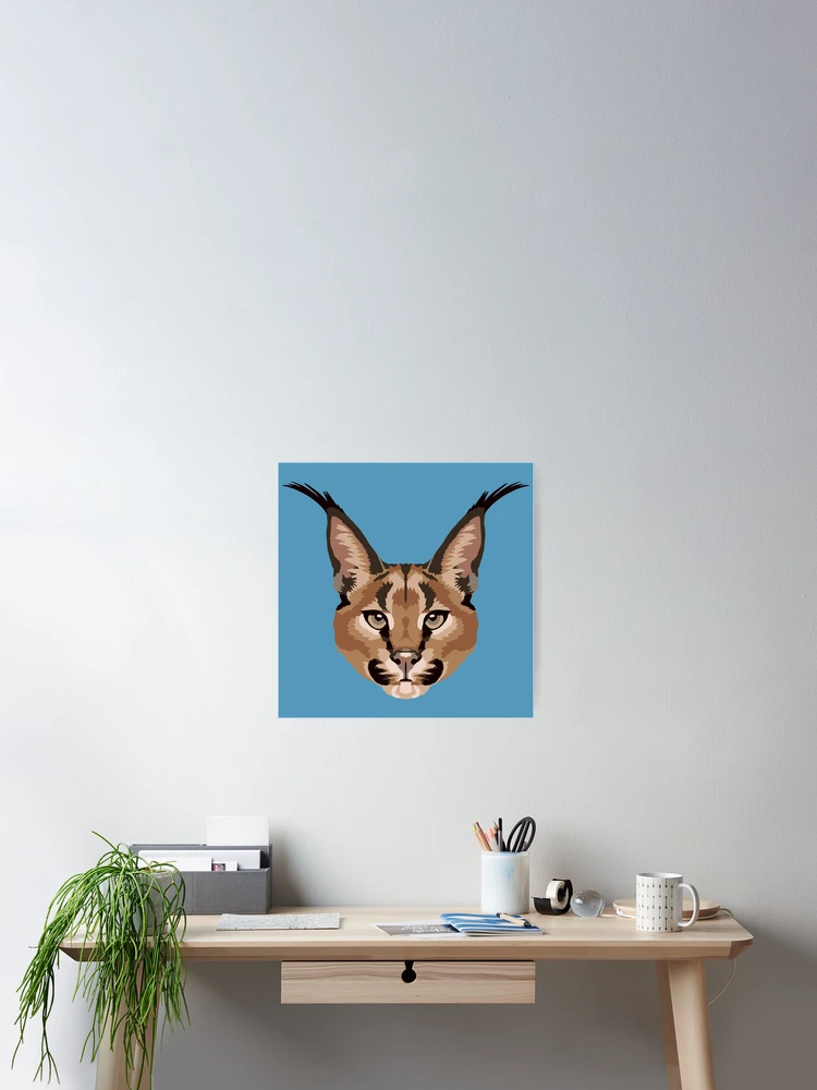 Caracal Face