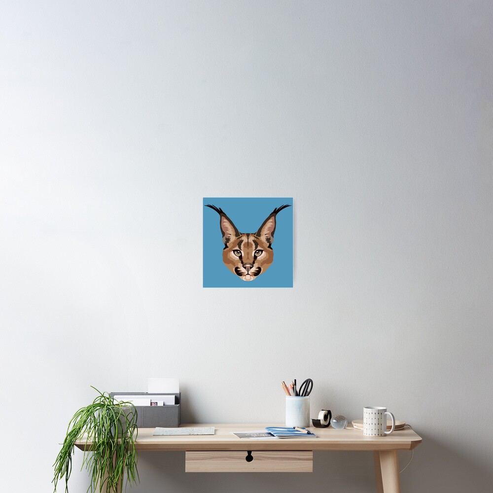 Caracal Face
