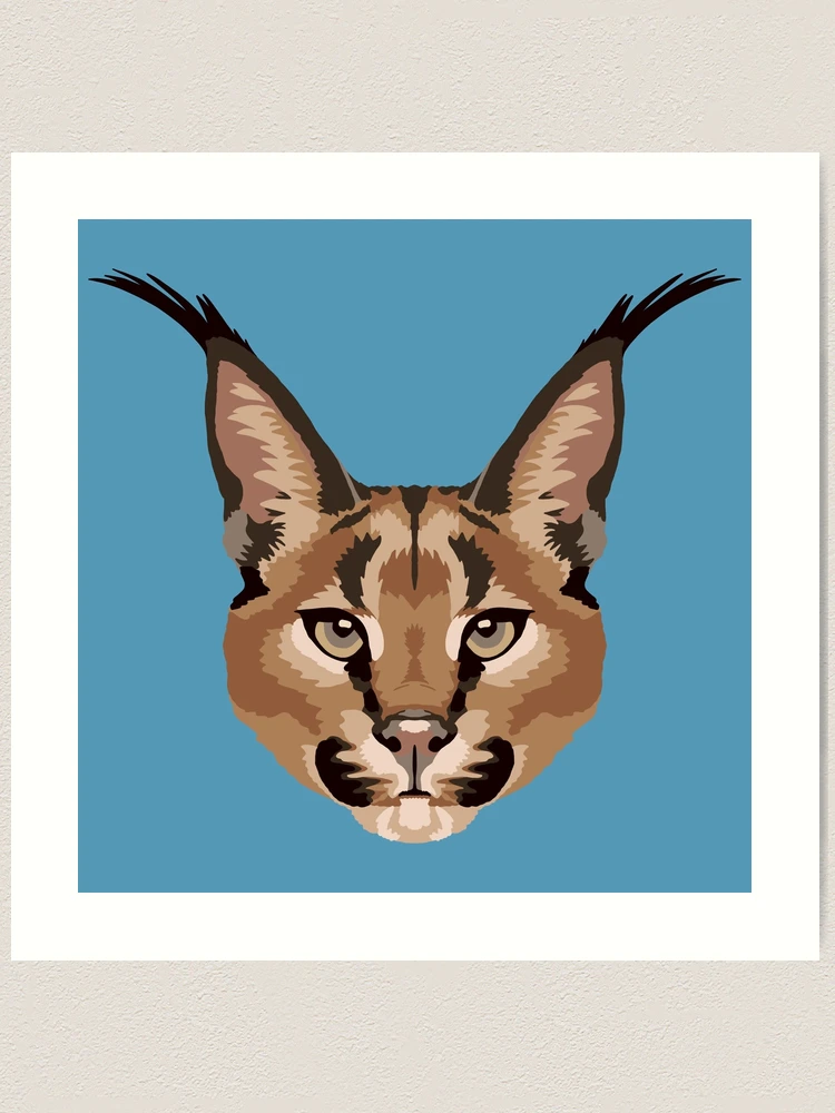 Caracal Face