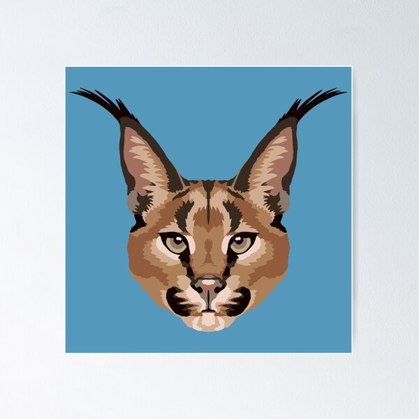 Caracal Face
