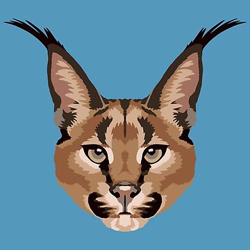 信州まなぶ ポスター Caracal Artwork Caracal Face