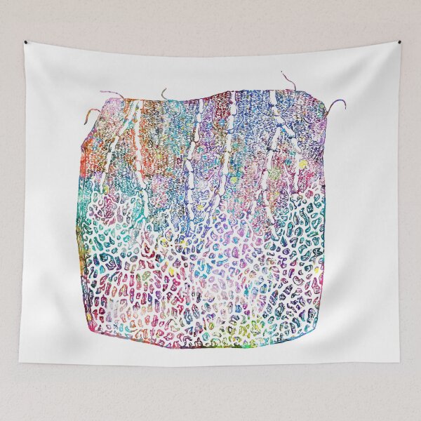 Item preview, Lymphatic System Vessels Anatomy designed and sold by EvasDreams.