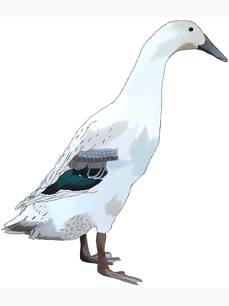 "White runner duck" Art Print by Skcud Redbubble