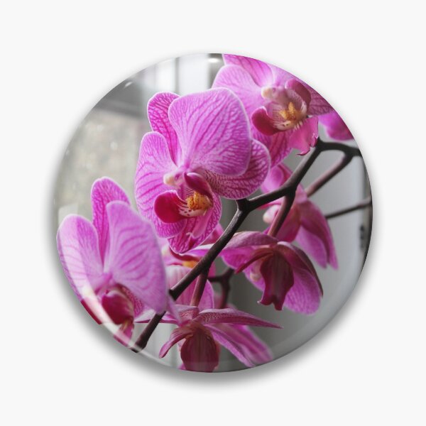 Item preview, Pink and white phalanopsis orchid flowers designed and sold by gabmenfer.