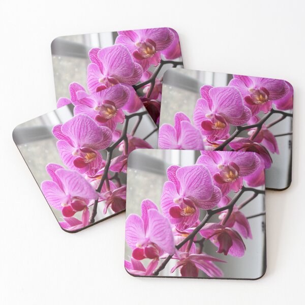 Item preview, Pink and white phalanopsis orchid flowers designed and sold by gabmenfer.