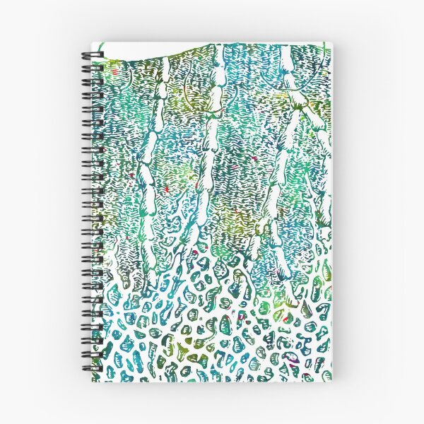 Item preview, Lymphatic System Vessels Anatomy designed and sold by EvasDreams.